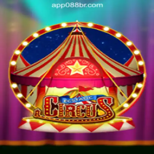 Discover the Excitement of EcstaticCircus: The Ultimate Online Casino Experience